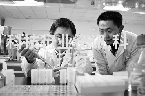2024全球数商大会开幕数聚上海链接数字经济新未来