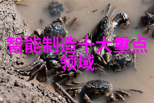 苹果人工智能开发落后两年彭博社内部观点引热议