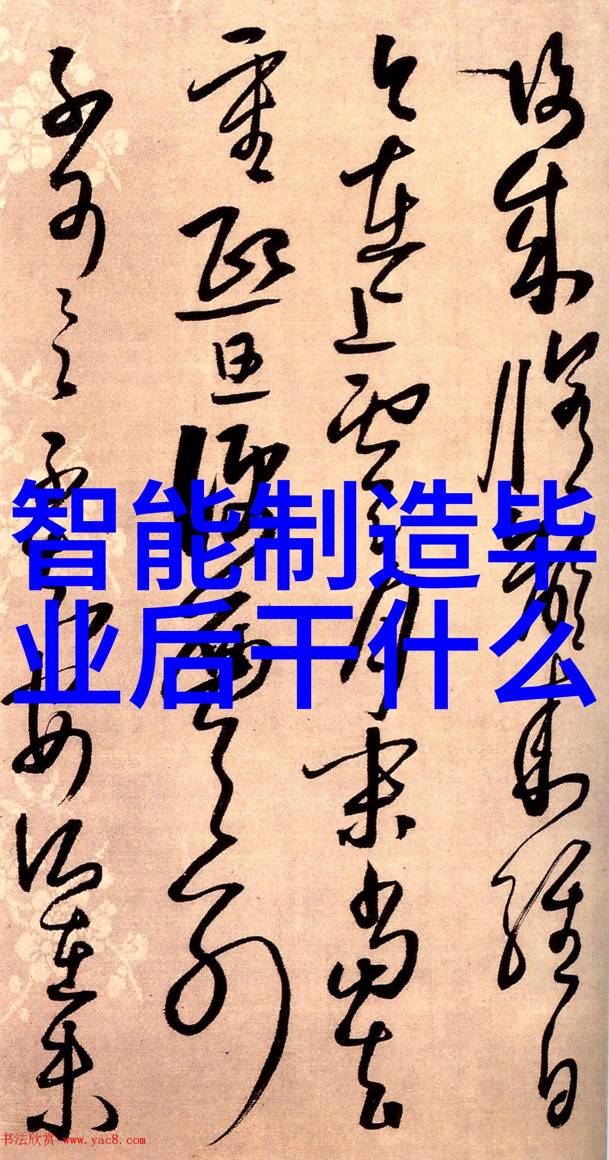 小米SU7 Ultra购车新解购置税拉花更换及智驾功能全攻略